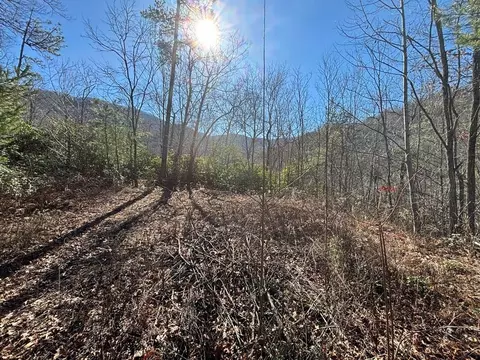 Lot 2&5 Gardners Cove, Whittier, NC 28789