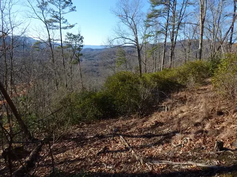 000 Ridgeway St, Sylva, NC 28779