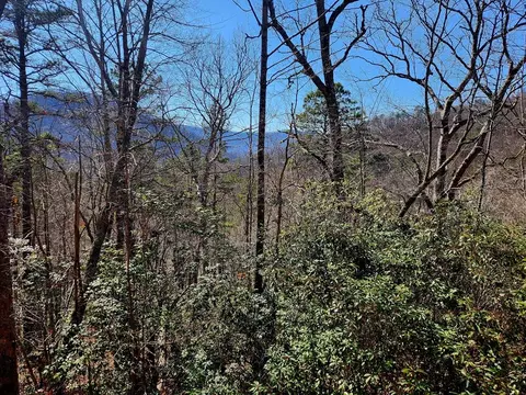 Lt D16 Cedar Creek, Tuckasegee, NC 28783