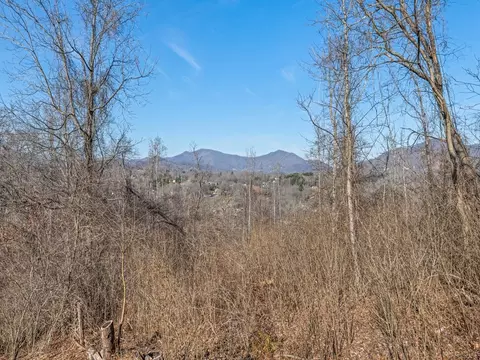View/Area - 45 Windiridge Dr, Canton, NC 28716 photo 6 of 7