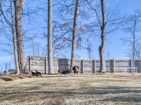 Exterior - 45 Windiridge Dr, Canton, NC 28716 photo 9 of 12
