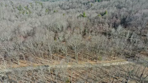 Lots 1, Cullowhee, NC 28723 photo 11
