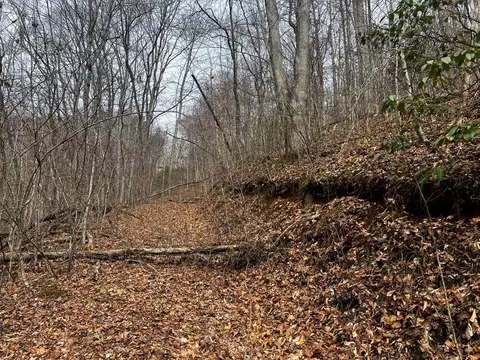 00 Coon Creek Rd, Franklin, NC 28734