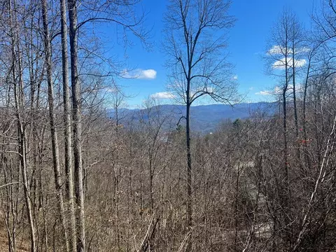 0 Ginseng Rdg, Almond, NC 28702