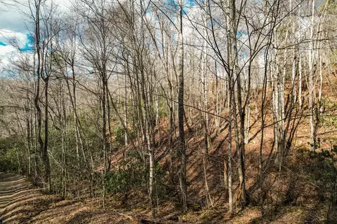 451 Rugged Mountain Dr, Cullowhee, NC 28723 photo 23