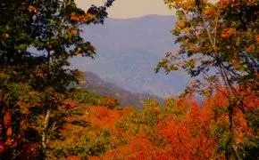 24 Cats Paw Road, Cullowhee, NC 28723