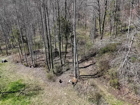 469 Dills Branch Rd, Sylva, NC 28779 photo 32