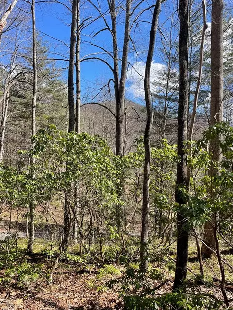 00 Ledford Branch Rd, Franklin, NC 28734