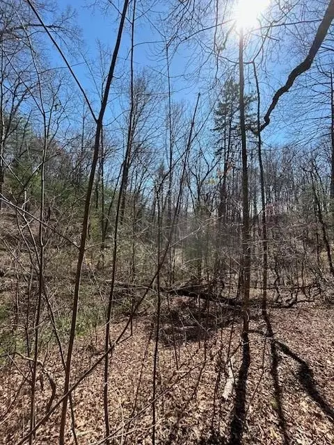 0 Galunlati Rd, Bryson City, NC 28713