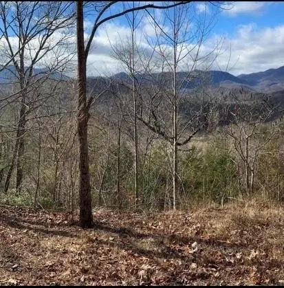 00 Dobson Mountain Rd, Franklin, NC 28734