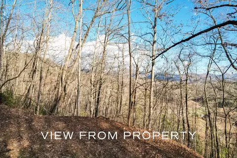 lot37 Buck Mountain Rd, Franklin, NC 28734