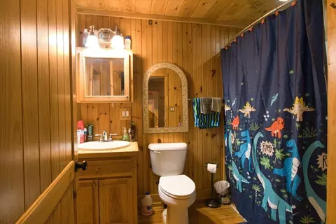 Bath - 1363 Webster Rd, Sylva, NC 28779 photo 1 of 2