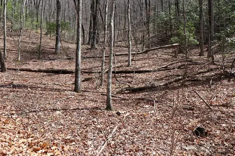 618 618 Rip Saw Rd, Sylva, NC 28779 photo 12