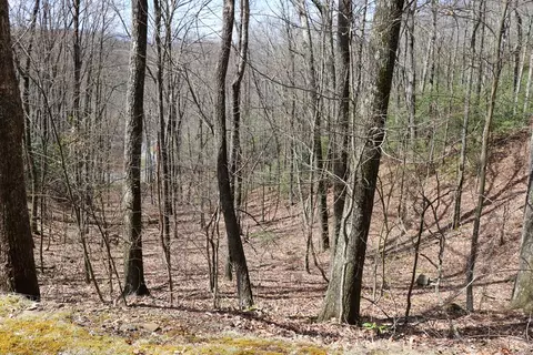 618 618 Rip Saw Rd, Sylva, NC 28779 photo 8