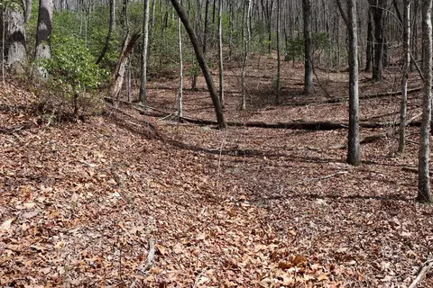 618 618 Rip Saw Rd, Sylva, NC 28779 photo 11