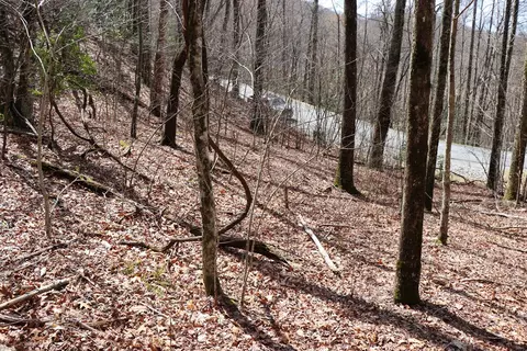 618 618 Rip Saw Rd, Sylva, NC 28779 photo 10