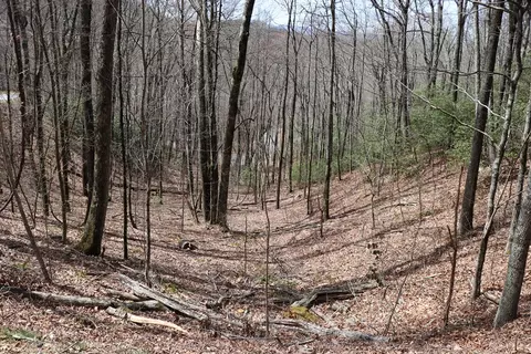 618 618 Rip Saw Rd, Sylva, NC 28779 photo 9