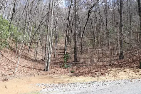 618 618 Rip Saw Rd, Sylva, NC 28779 photo 13