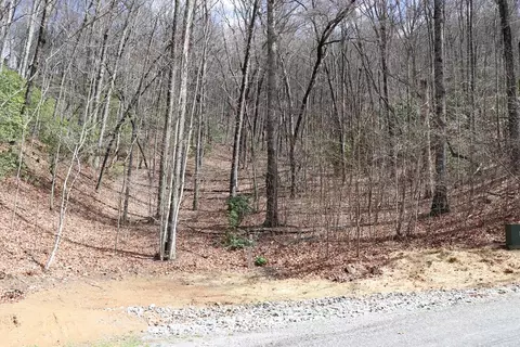 618 618 Rip Saw Rd, Sylva, NC 28779 photo 14
