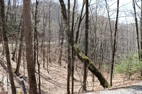 618 618 Rip Saw Rd, Sylva, NC 28779 photo 7