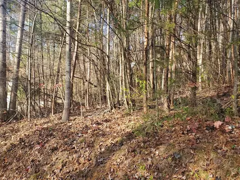 1 Kingwood Circle, Franklin, NC 28734