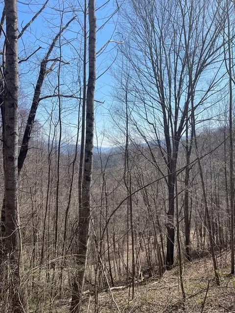 000 Trotters Trl, Waynesville, NC 28785