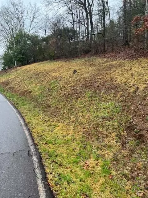 00 Country Club Dr, Franklin, NC 28734