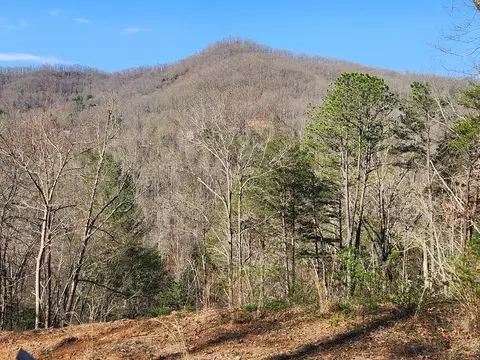 8 Roscoe Lewis Road, Sylva, NC 28779