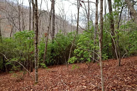 0 Pumpkintown Rd, Sylva, NC 28779