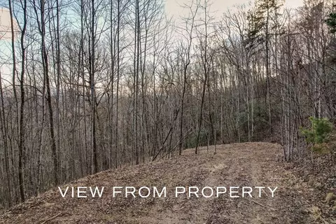 lot40 Buck Mountain Rd, Franklin, NC 28734
