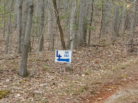 00 Lot 4 Coon Creek Franklin Nc 28734, Franklin, NC 28734