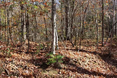 lot Apt 6 Carolina Spgs, Otto, NC 28763