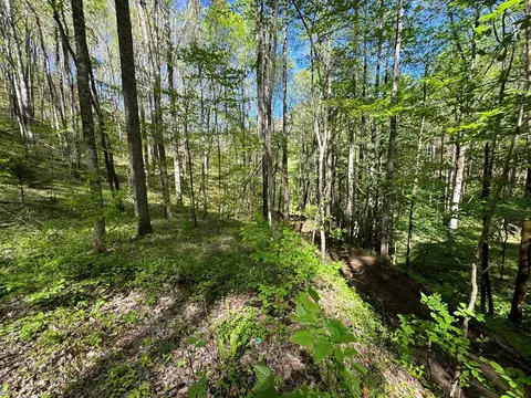 0 E Silvermine, Bryson City, NC 28713