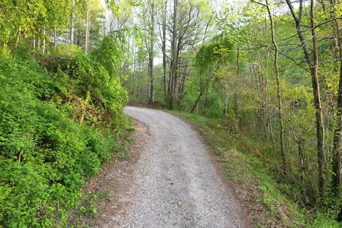 38 Garnet Rd, Sylva, SC 29779 photo 8