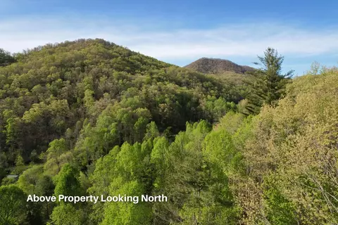 38 Garnet Rd, Sylva, SC 29779 photo 29