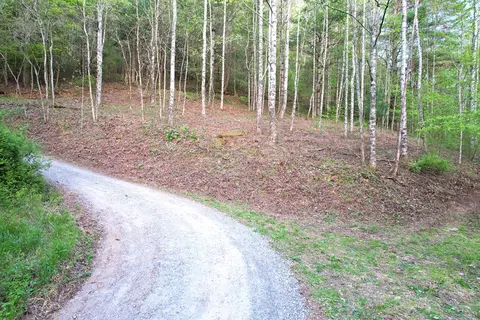 38 Garnet Rd, Sylva, SC 29779 photo 2