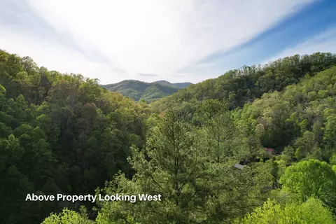 38 Garnet Rd, Sylva, SC 29779 photo 28