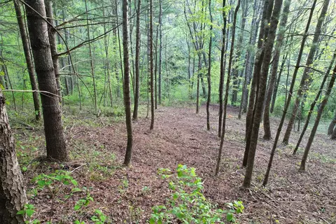 38 Garnet Rd, Sylva, SC 29779 photo 17