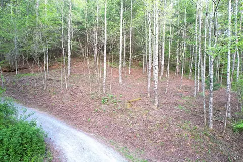 38 Garnet Rd, Sylva, SC 29779 photo 32