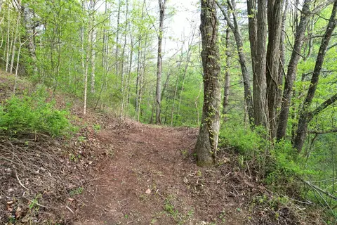 38 Garnet Rd, Sylva, SC 29779 photo 23