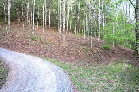 38 Garnet Rd, Sylva, SC 29779 photo 21