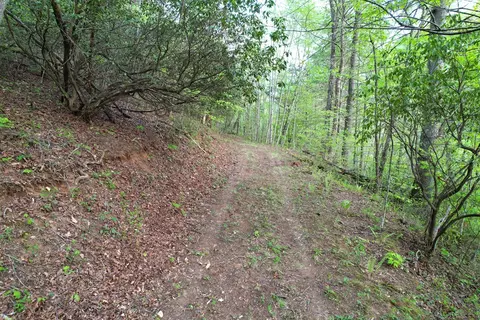38 Garnet Rd, Sylva, SC 29779 photo 14