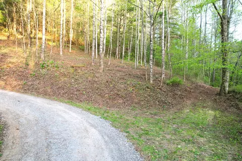 38 Garnet Rd, Sylva, SC 29779 photo 9