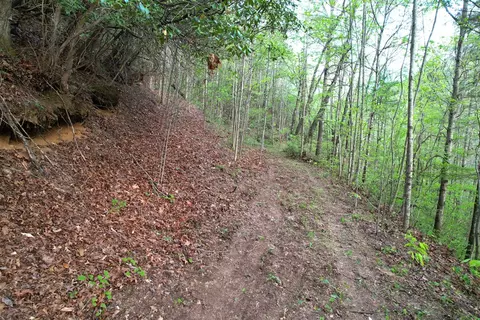 38 Garnet Rd, Sylva, SC 29779 photo 15