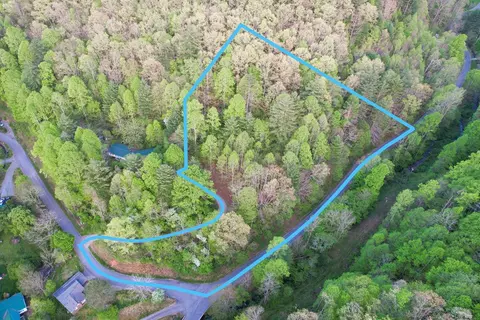 38 Garnet Rd, Sylva, SC 29779 photo 27