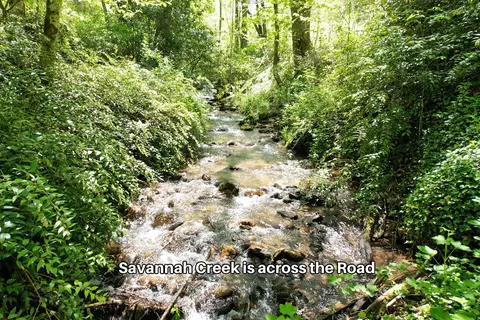 38 Garnet Rd, Sylva, SC 29779 photo 4