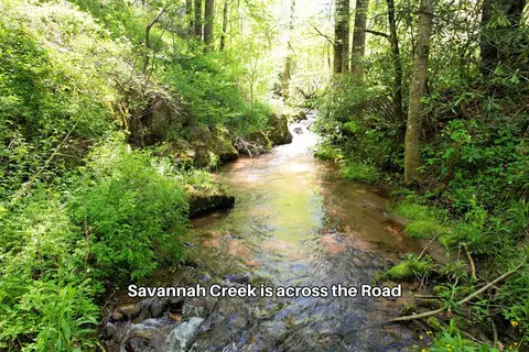 38 Garnet Rd, Sylva, SC 29779 photo 33