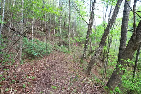 38 Garnet Rd, Sylva, SC 29779 photo 16