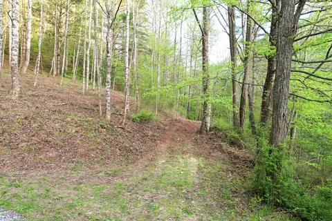38 Garnet Rd, Sylva, SC 29779 photo 22