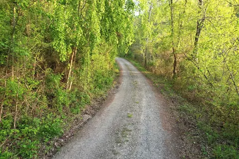 38 Garnet Rd, Sylva, SC 29779 photo 7